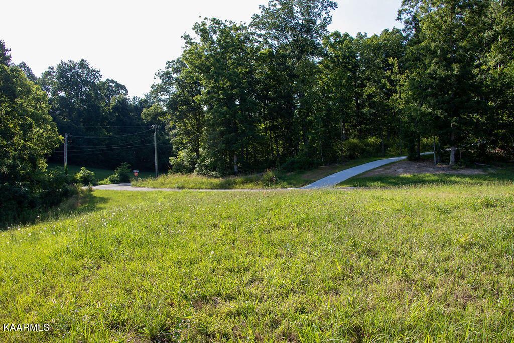 Photo of Dogwood Meadows Drive, Strawberry Plains, TN 37871 (MLS # 1219505)