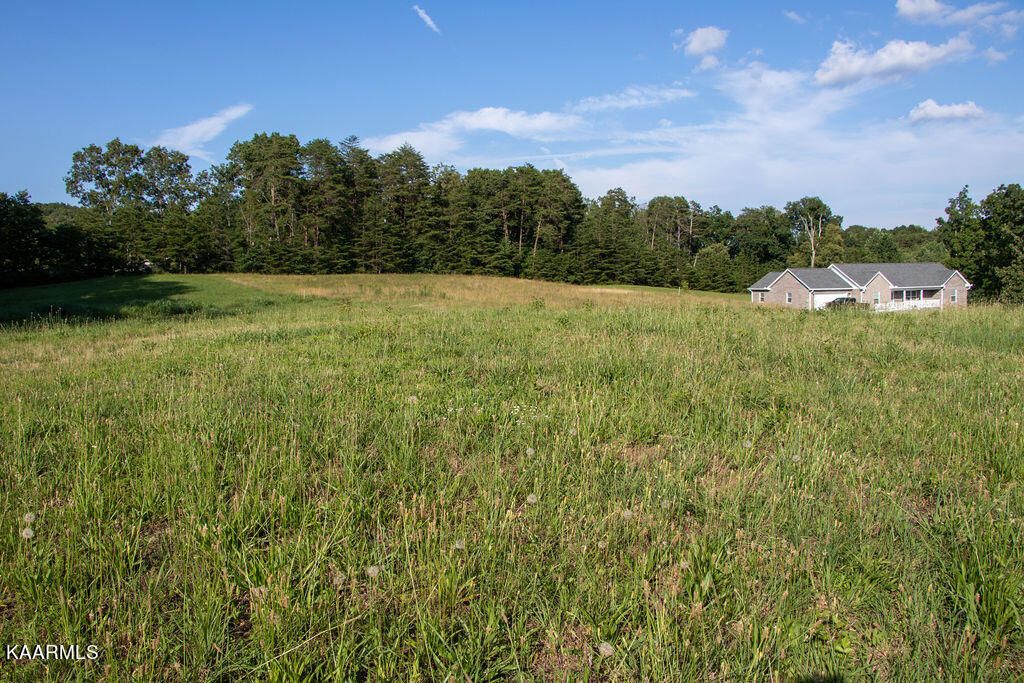 Photo of Dogwood Meadows Drive, Strawberry Plains, TN 37871 (MLS # 1219505)