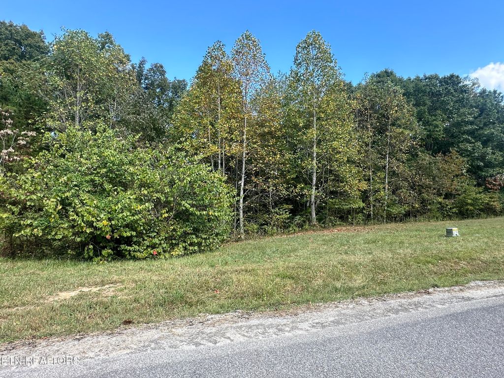 Photo of 43 Old Hearth Drive, LaFollette, TN 37766 (MLS # 1277168)