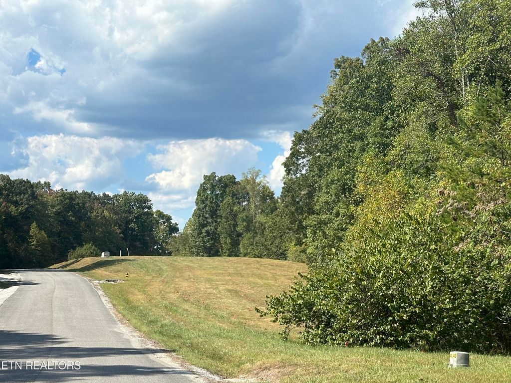 Photo of 43 Old Hearth Drive, LaFollette, TN 37766 (MLS # 1277168)