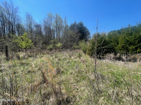 Tiny photo for 317 Mountain View Drive, Vonore, TN 37885 (MLS # 1333816)