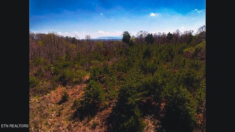 Tiny photo for 317 Mountain View Drive, Vonore, TN 37885 (MLS # 1333816)