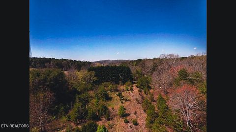 Tiny photo for 317 Mountain View Drive, Vonore, TN 37885 (MLS # 1333816)
