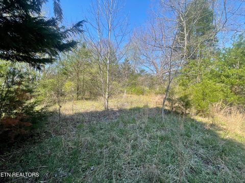 Tiny photo for 317 Mountain View Drive, Vonore, TN 37885 (MLS # 1333816)