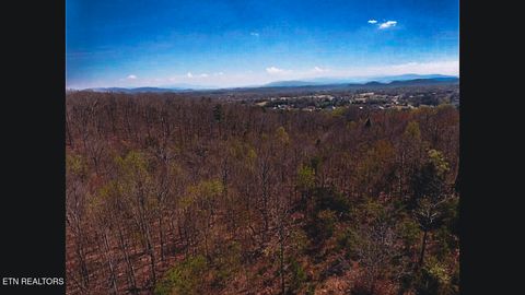 Tiny photo for 317 Mountain View Drive, Vonore, TN 37885 (MLS # 1333816)