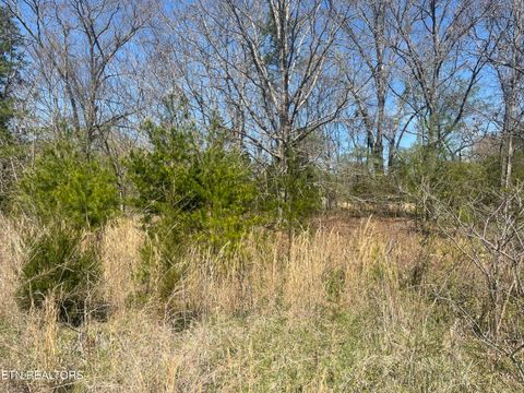 Tiny photo for 317 Mountain View Drive, Vonore, TN 37885 (MLS # 1333816)
