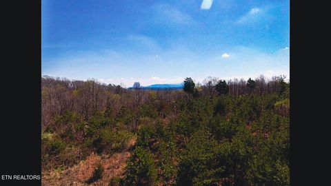 Tiny photo for 317 Mountain View Drive, Vonore, TN 37885 (MLS # 1333816)