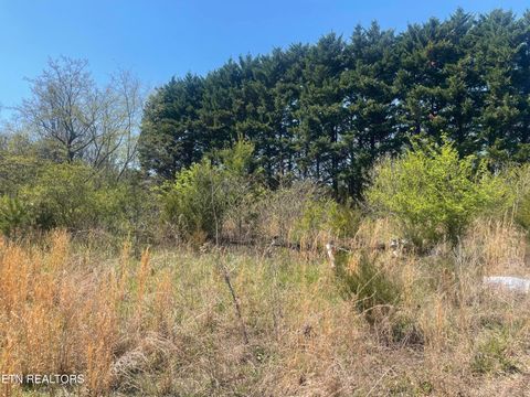 Tiny photo for 317 Mountain View Drive, Vonore, TN 37885 (MLS # 1333816)
