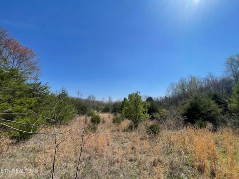 Tiny photo for 317 Mountain View Drive, Vonore, TN 37885 (MLS # 1333816)