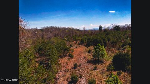 Photo of 317 Mountain View Drive, Vonore, TN 37885 (MLS # 1333816)