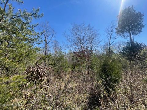 Tiny photo for 317 Mountain View Drive, Vonore, TN 37885 (MLS # 1333816)