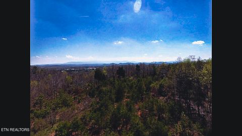 Tiny photo for 317 Mountain View Drive, Vonore, TN 37885 (MLS # 1333816)