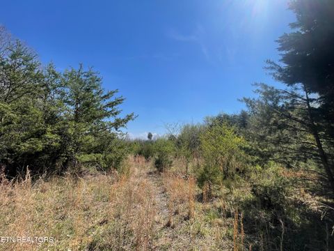 Tiny photo for 317 Mountain View Drive, Vonore, TN 37885 (MLS # 1333816)