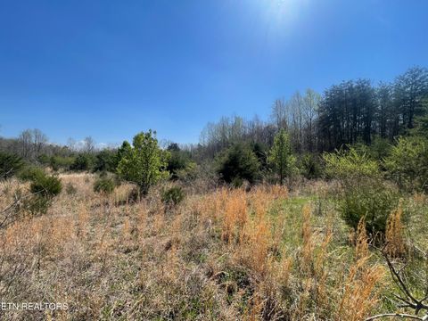 Tiny photo for 317 Mountain View Drive, Vonore, TN 37885 (MLS # 1333816)