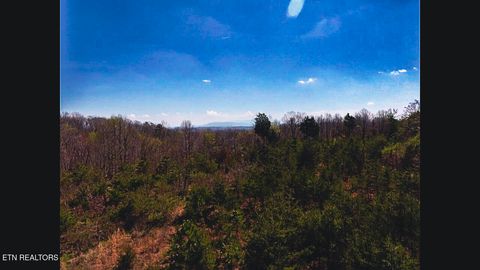 Tiny photo for 317 Mountain View Drive, Vonore, TN 37885 (MLS # 1333816)