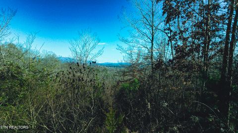 Tiny photo for 317 Mountain View Drive, Vonore, TN 37885 (MLS # 1333816)