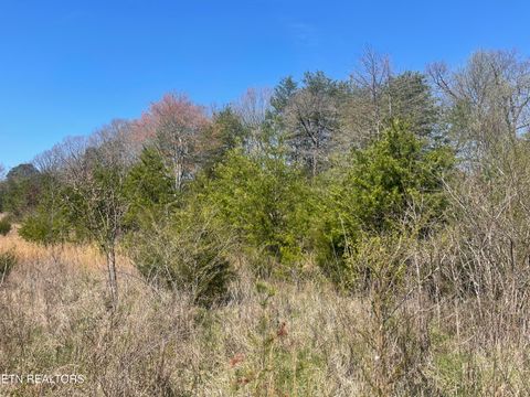 Tiny photo for 317 Mountain View Drive, Vonore, TN 37885 (MLS # 1333816)