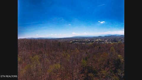 Tiny photo for 317 Mountain View Drive, Vonore, TN 37885 (MLS # 1333816)
