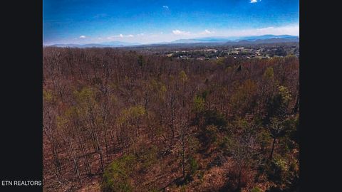 Tiny photo for 317 Mountain View Drive, Vonore, TN 37885 (MLS # 1333816)