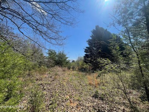 Tiny photo for 317 Mountain View Drive, Vonore, TN 37885 (MLS # 1333816)