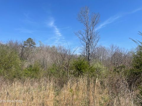 Tiny photo for 317 Mountain View Drive, Vonore, TN 37885 (MLS # 1333816)