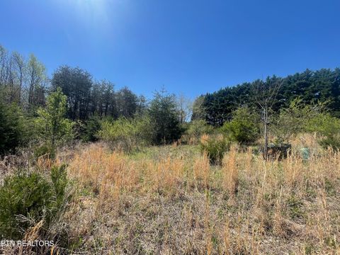 Tiny photo for 317 Mountain View Drive, Vonore, TN 37885 (MLS # 1333816)