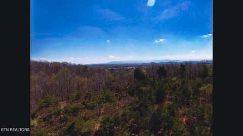 Tiny photo for 317 Mountain View Drive, Vonore, TN 37885 (MLS # 1333816)