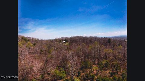 Tiny photo for 317 Mountain View Drive, Vonore, TN 37885 (MLS # 1333816)