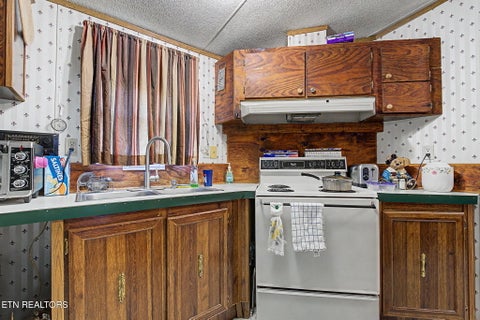 Tiny photo for 507 Cane Creek Mtn Rd, Tellico Plains, TN 37385 (MLS # 1359699)