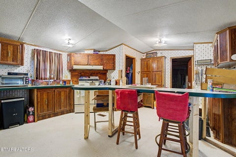 Tiny photo for 507 Cane Creek Mtn Rd, Tellico Plains, TN 37385 (MLS # 1359699)