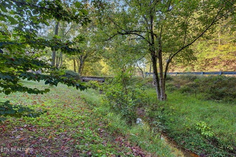 Tiny photo for 507 Cane Creek Mtn Rd, Tellico Plains, TN 37385 (MLS # 1359699)