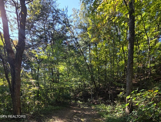 LOT 98 REDBUD LANE, SEVIERVILLE, TN 37876 - Image aeb6dbec836b0b0b3fb968f4636ac2ef/2681385192