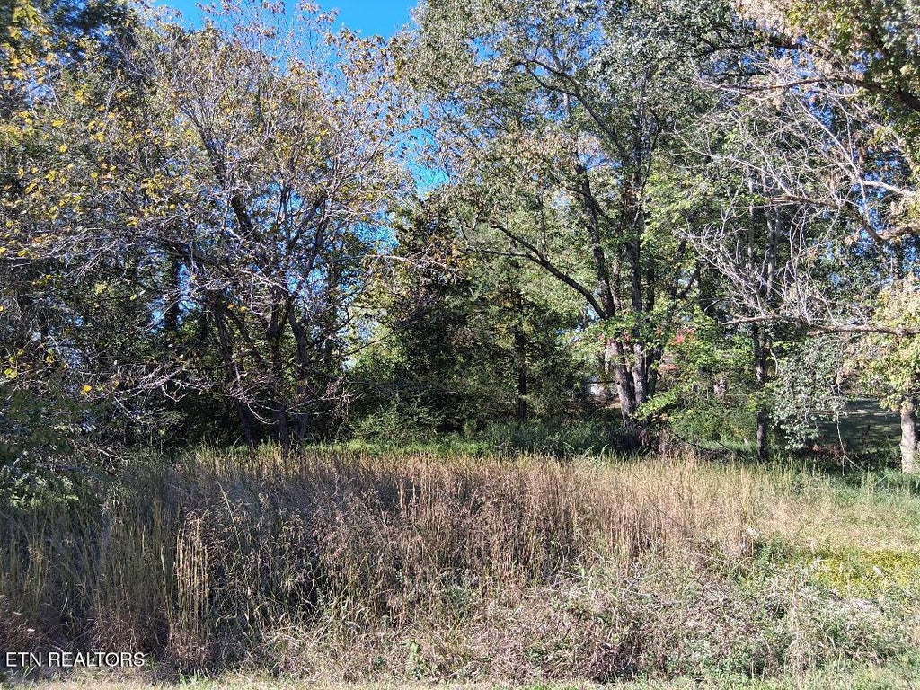 Photo of Hood Drive, Kingston, TN 37763 (MLS # 1358071)