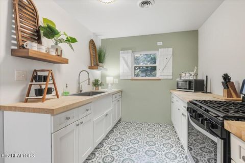 Tiny photo for 1111 Tinsley Lane, Dandridge, TN 37725 (MLS # 1318115)