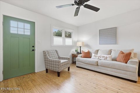 Tiny photo for 1111 Tinsley Lane, Dandridge, TN 37725 (MLS # 1318115)