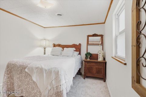 Tiny photo for 1111 Tinsley Lane, Dandridge, TN 37725 (MLS # 1318115)