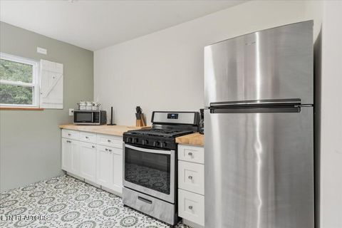 Tiny photo for 1111 Tinsley Lane, Dandridge, TN 37725 (MLS # 1318115)
