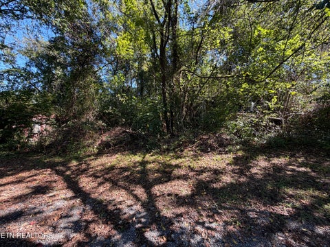 Tiny photo for 5204 Murphy Rd, Knoxville, TN 37918 (MLS # 1357298)