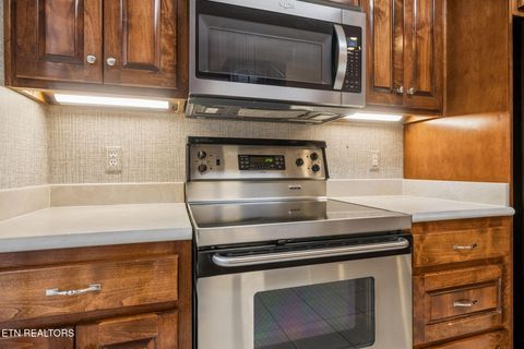 Tiny photo for 611 Calvin St, Kingston, TN 37763 (MLS # 1333909)