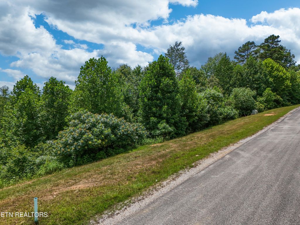 Photo of 512 Cedar Gate Lane, LaFollette, TN 37766 (MLS # 1308879)