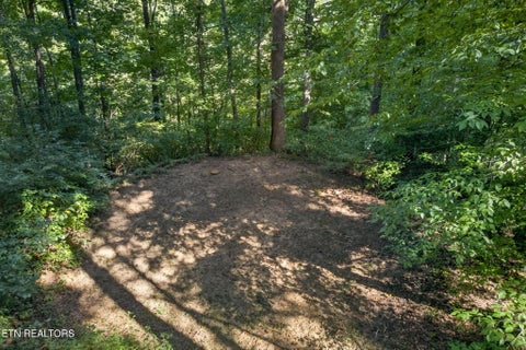 Tiny photo for 4816 River Bend Court, Cookeville, TN 38506 (MLS # 1354879)