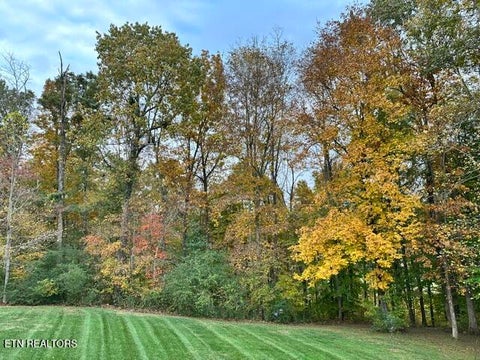 Tiny photo for 4816 River Bend Court, Cookeville, TN 38506 (MLS # 1354879)