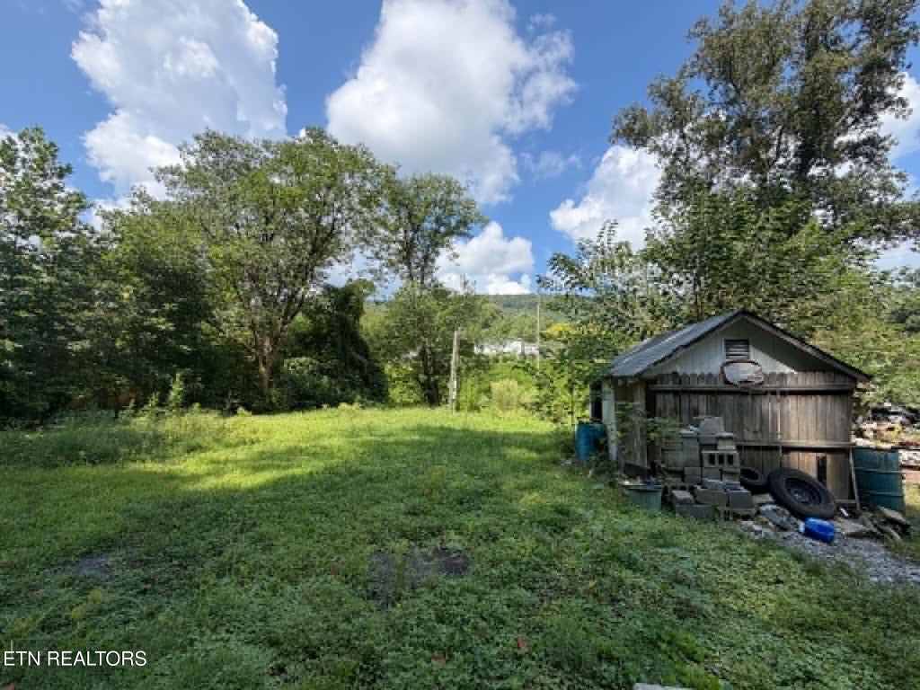 Photo of 410 Ideal Valley Rd, Spring City, TN 37381 (MLS # 1353868)
