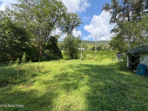 Photo of 410 Ideal Valley Rd, Spring City, TN 37381 (MLS # 1353868)
