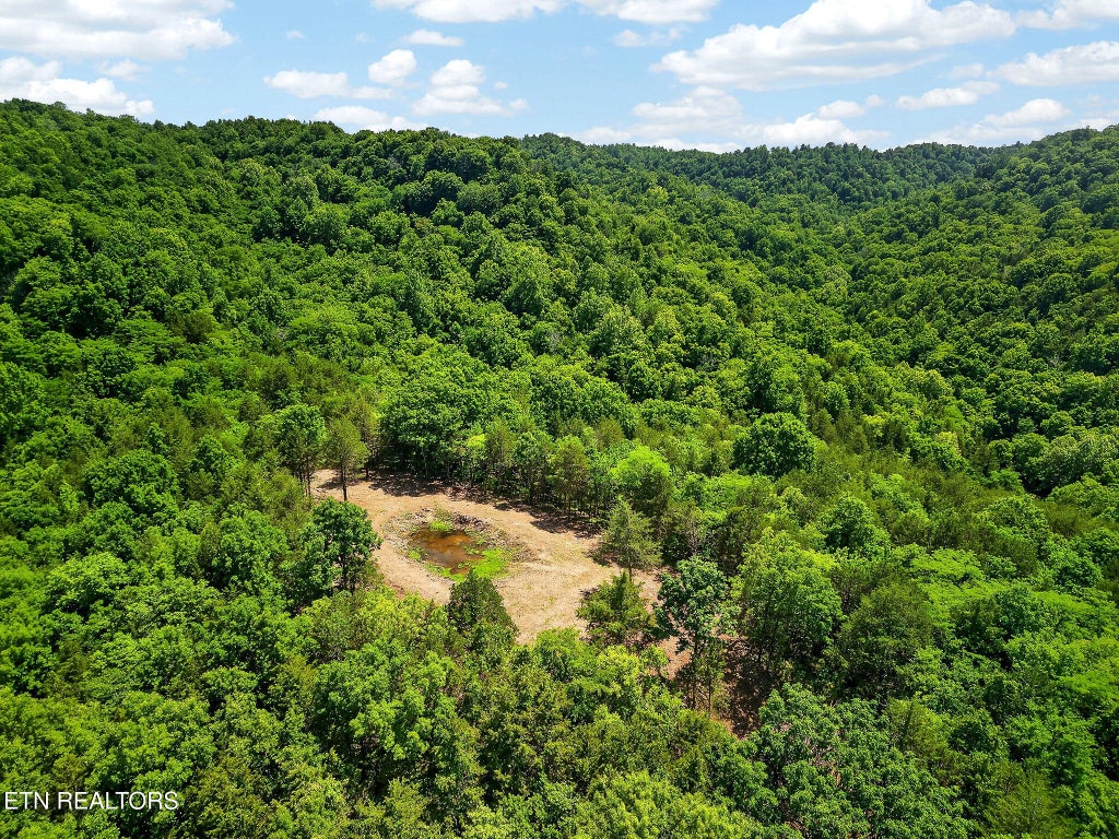 Photo of 2926 Bryant Ridge Rd, Baxter, TN 38544 (MLS # 1347900)