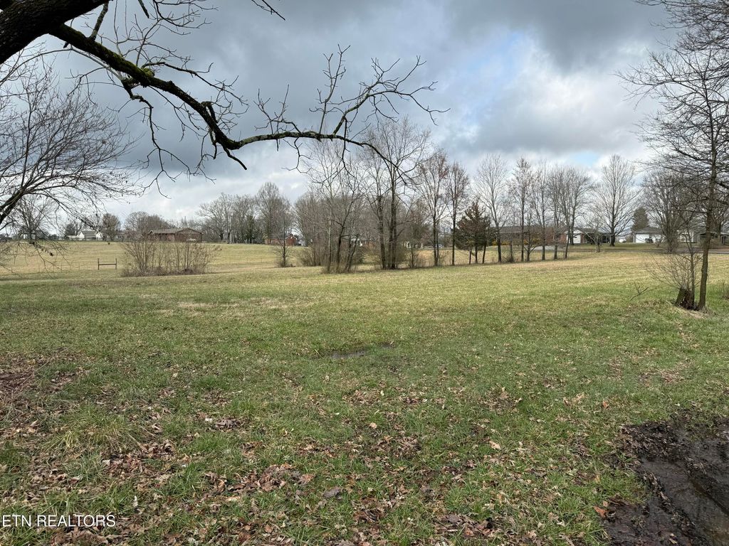Photo of 2919 E Lamar Alexander Pkwy, Maryville, TN 37804 (MLS # 1330666)