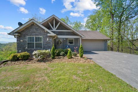 Photo of 405 Maggie Mack Lane Ln, Sevierville, TN 37862 (MLS # 1320407)