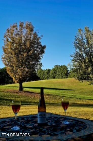 Tiny photo for 1089 Dogwood Rd, Tazewell, TN 37879 (MLS # 1357755)