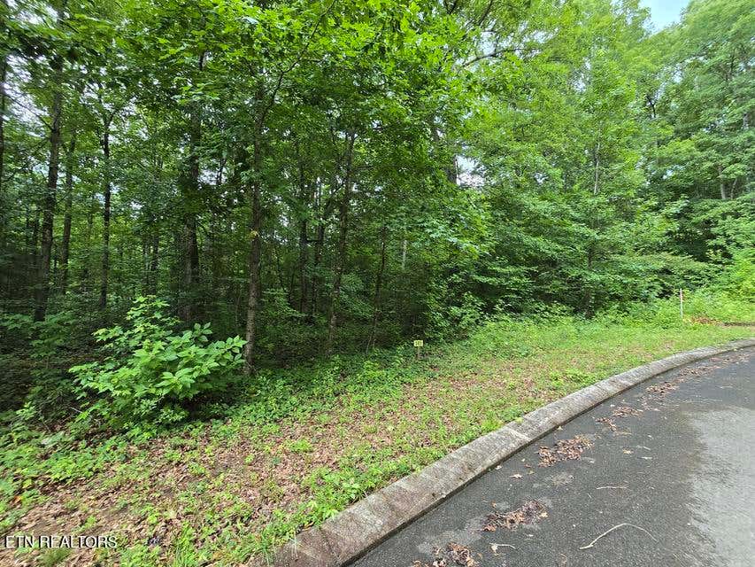 Photo of Lot 141 Lower Brow Rd, Dunlap, TN 37327 (MLS # 1348731)