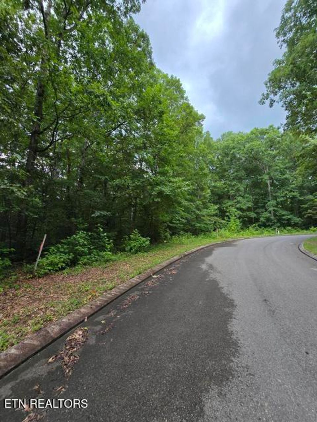 Photo of Lot 141 Lower Brow Rd, Dunlap, TN 37327 (MLS # 1348731)
